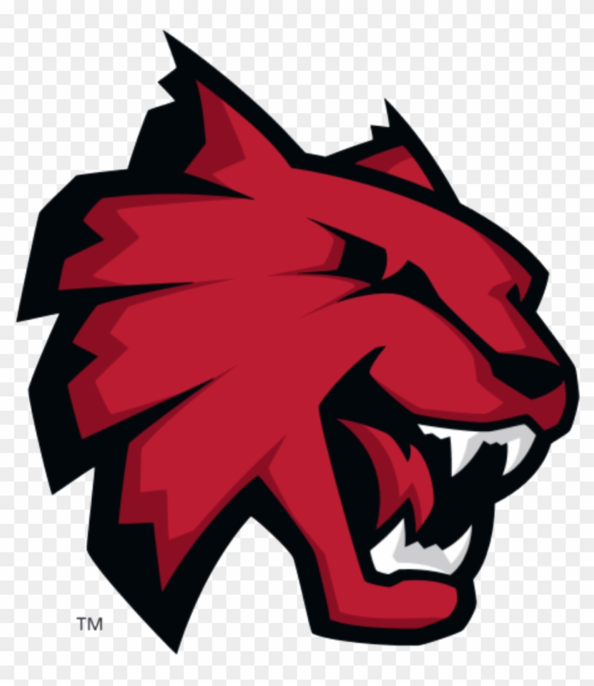 Central Washington University Wildcats Logo #1617393