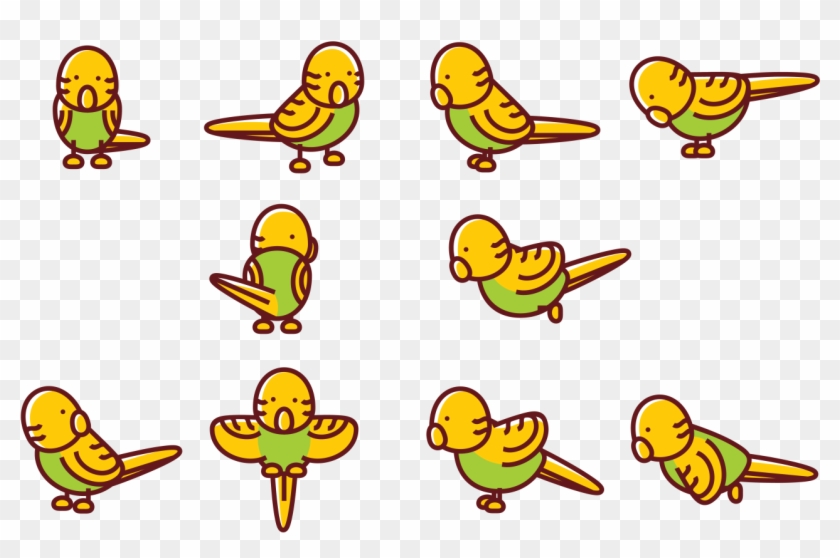 Budgie Cartoon Vectors - Cartoon #1618216