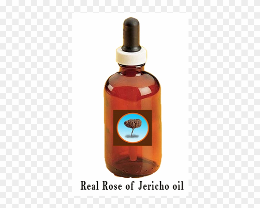 Oil Clipart Baptism Oil - Rose Of Jericho #1618536
