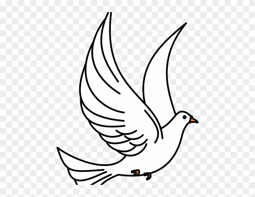 2018 Nobel Peace Prize Awarded To Denis Mukwege And - Flying Bird Clipart Black And White #1618624