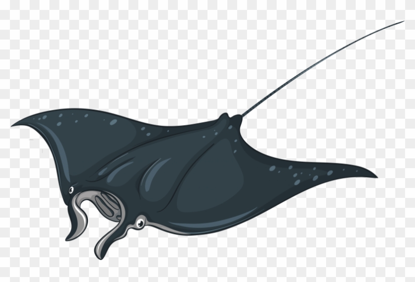 Free Png Download Skate Fish Clipart Png Photo Png - Manta Ray Illustration #1618663