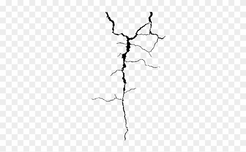 301 X 440 12 - Crack Line Png Transparent - Full Size PNG Clipart ...