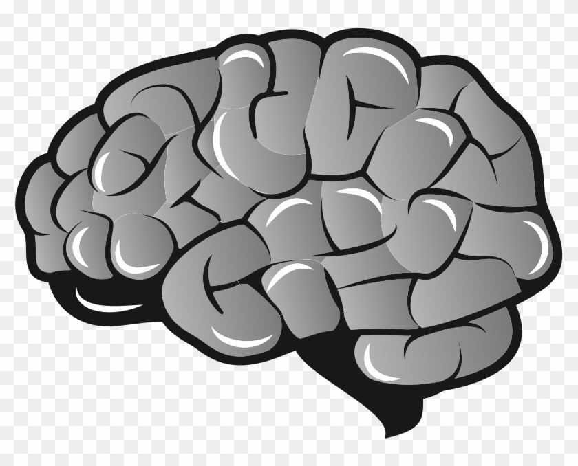 By Oksmith - Brain Vector Image Png #1619510