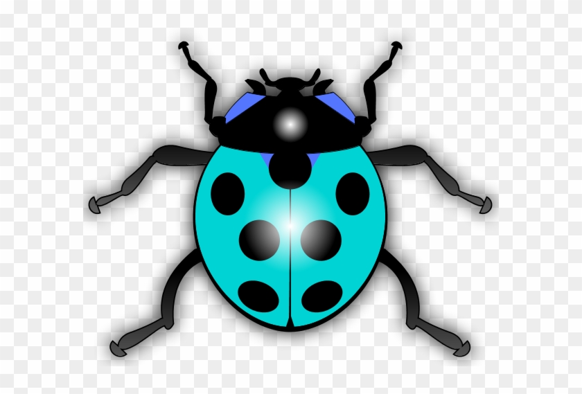 Clip Art And Graphics - Ladybird Clipart #1619726