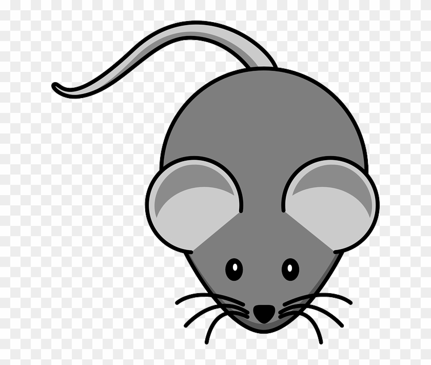 Choose The Plural Form Of The Noun - Mouse Clip Art #1620202