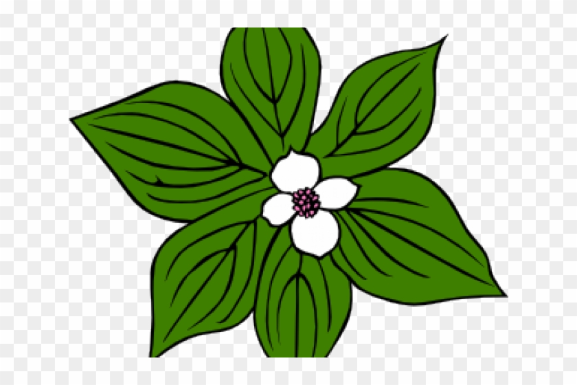 Cartoon Flower And Leaves #1620390