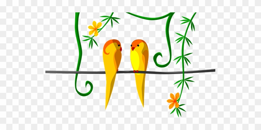 Parrot, Couple, Jungle, Tropical, Birds - Budgie #1620404
