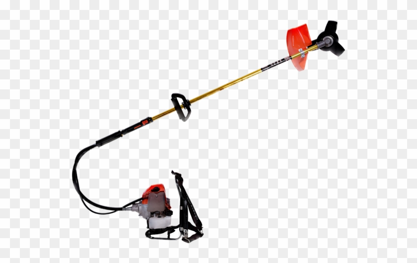 Th-bg4303 - Th-bg4303 #1620635