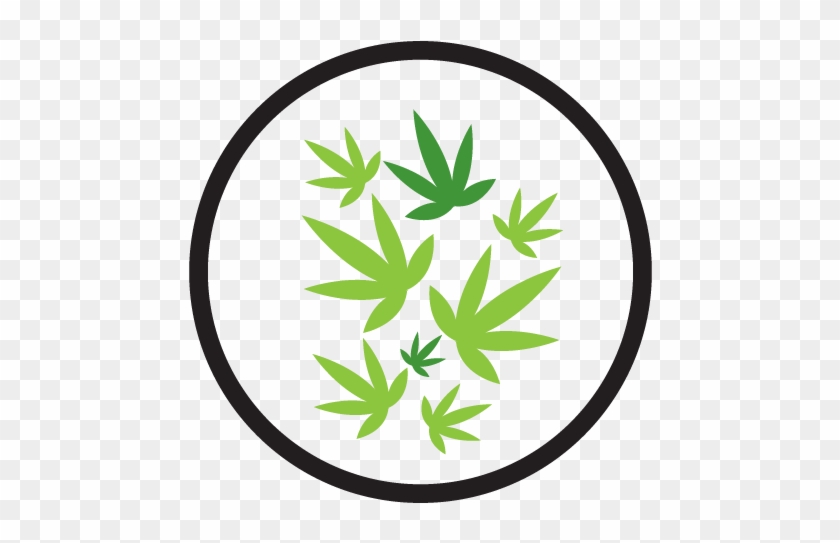 Marijuana Producers - Emblem #1620646