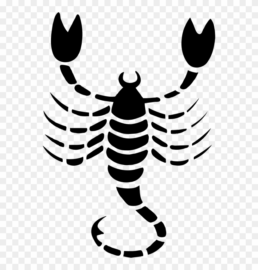 562 X 800 2 - Scorpio Drawing #1620676