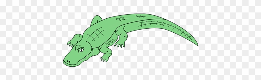 450 X 300 4 - Cartoon Alligator No Background #1620770