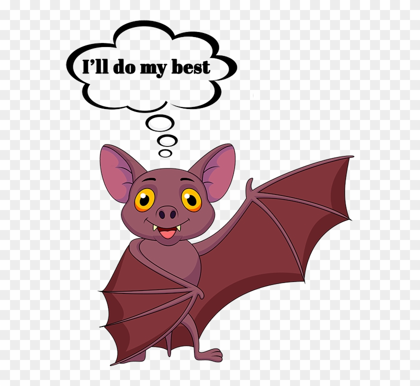 Bat Facts Experts Of Maine Midcoast Wildlife Ⓒ - Bat Questions #1620804
