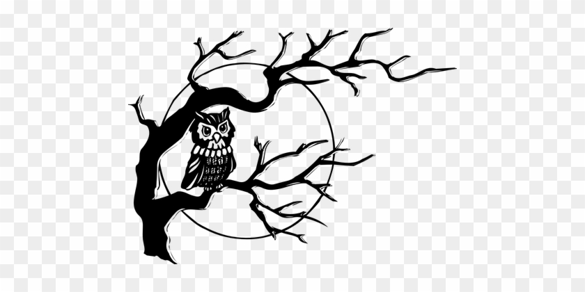 Owl, Nocturnal Bird, Bird Of Prey, Hoot - Owl In A Tree Clipart #1621402