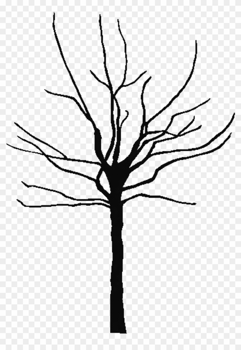 Tree Black And White Black Tree Outline Free Download - Outline Of Black Tree #1621461