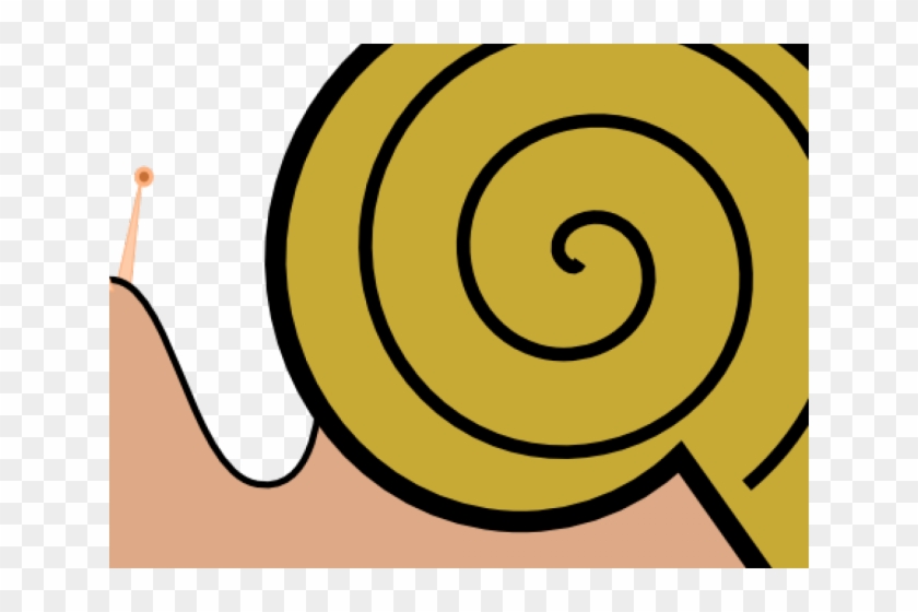 Snail Clipart Pond Snail - Illustration #1621538