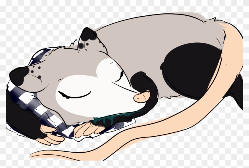 Possum Queen <3 « Older - Cartoon #1621679
