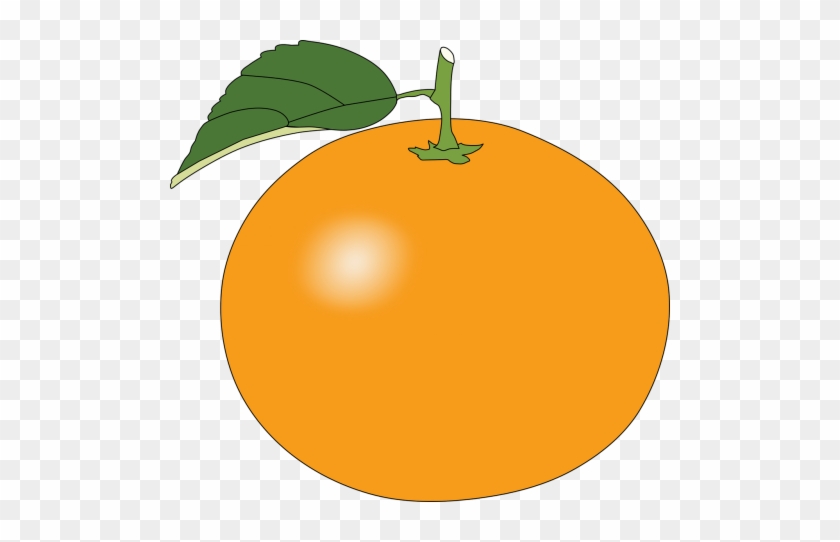 Fruit,issue Fixed,issue Vector - Orange Pictures Clip Art #1621697