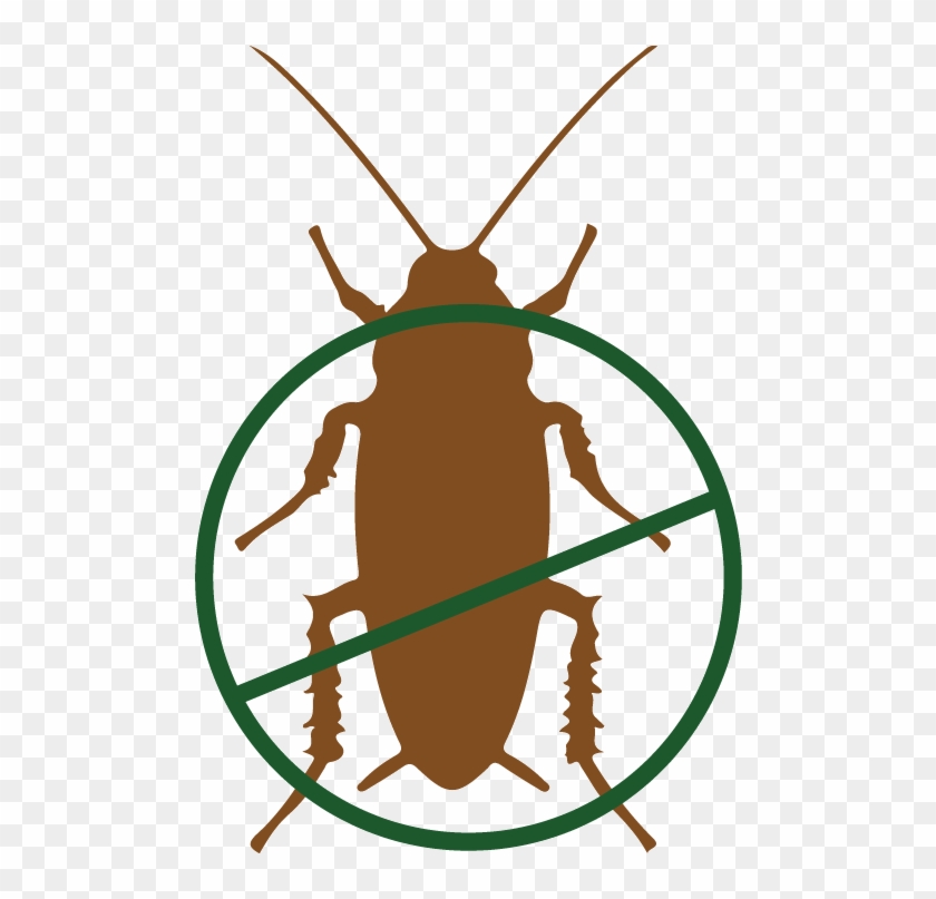 Hydramethylnon, Roach Killer - Modilac #1622021