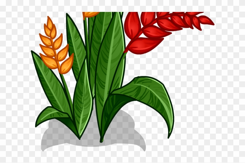 Plant Clipart Rainforest - Clip Art #1622149