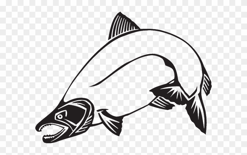 Chinook Salmon Clip Art #1622545