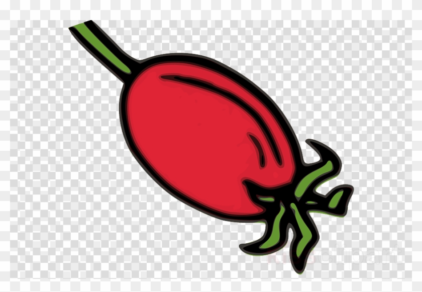 Rose Hip Clip Art Clipart Rose Hip Clip Art - Brush Stroke Circle Transparent #1622771