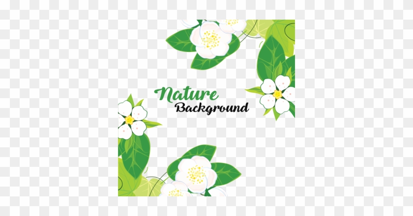 Leaves And Flowers With Nature Background, Leaves, - Evergreen Rose #1622779