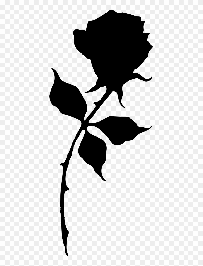 431 X 1024 3 - Silhouette Of A Rose #1622781
