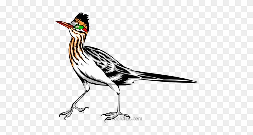 Roadrunner Royalty Free Vector Clip Art Illustration - Road Runner Clip Art #1623472