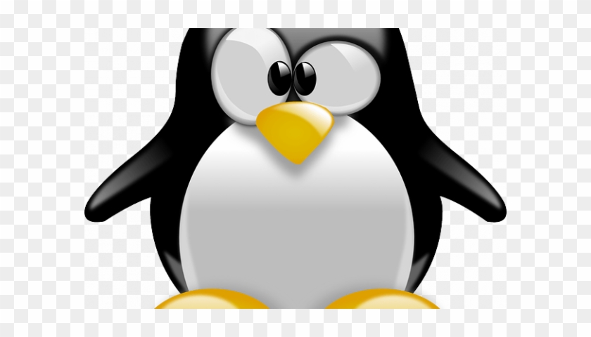 How To Install Linux On A Chromebook - Penguin Tux #1623502