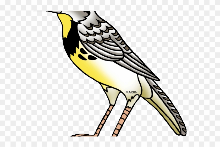 Bird Clipart Meadowlark - Oregon State Bird Cartoon #1623508