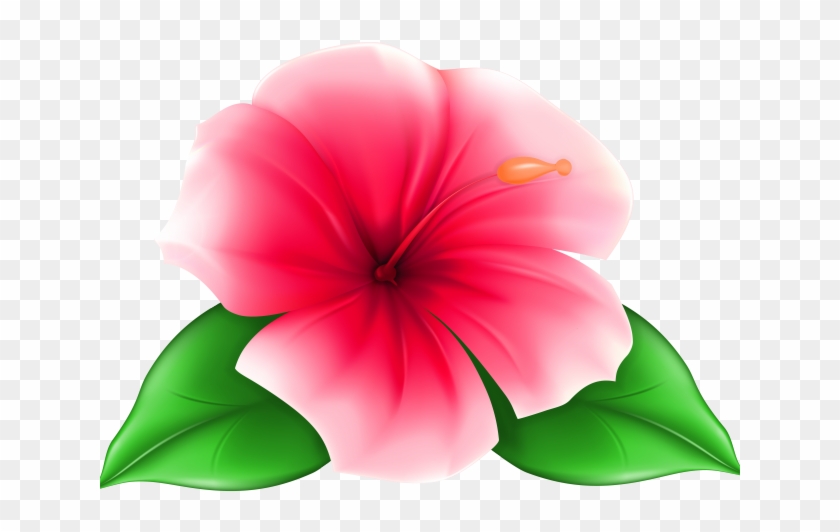 Hawaii Clipart Hawaiian Floral - Transparent Background Flower Clipart #1623527