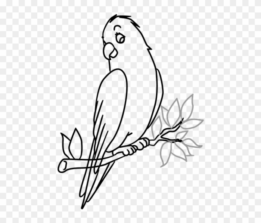 sketch of bird on branch of tree Stock Illustration | Adobe Stock
