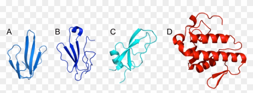A) Short Neurotoxin 1 From D - A) Short Neurotoxin 1 From D #1624047