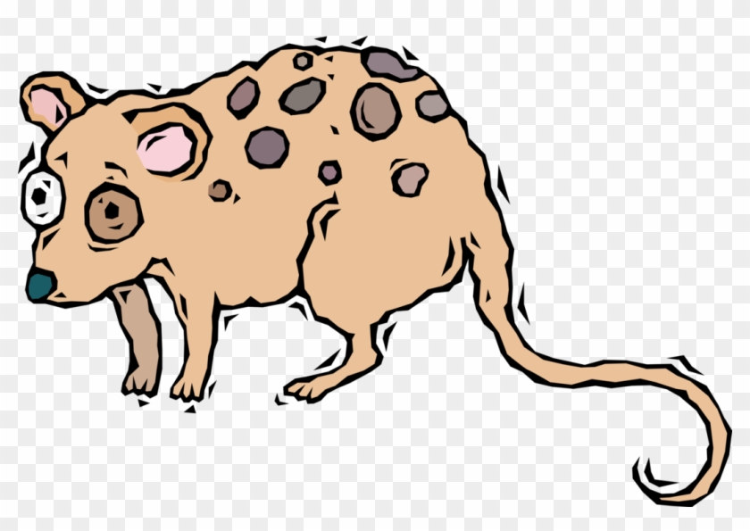 Vector Illustration Of Starry-eyed Opossum - Vector Illustration Of Starry-eyed Opossum #1624064