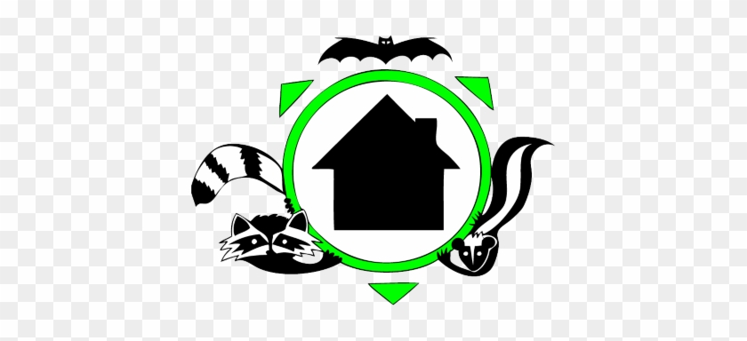 Get Unwanted Wildlife, Pests, Varmits, Pesky Animals - Skunk #1624071