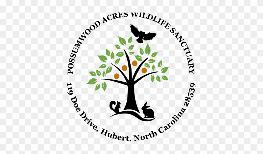 Possumwood Acres Wildlife Sanctuary Volunteer Opportunities - Imagenes De Logos De Arboles #1624104