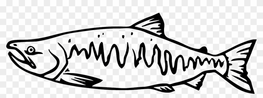 Salmon Drawing Cartoon - Pacific Salmon Black And White #1624285