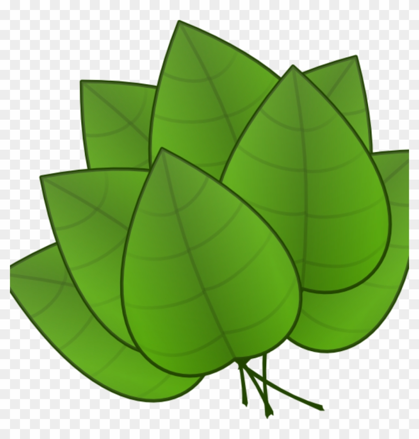 Jungle Leaves Clipart Jungle Leaves Clipart Free Jungle - Parts Of The Plants Leaf #1624340