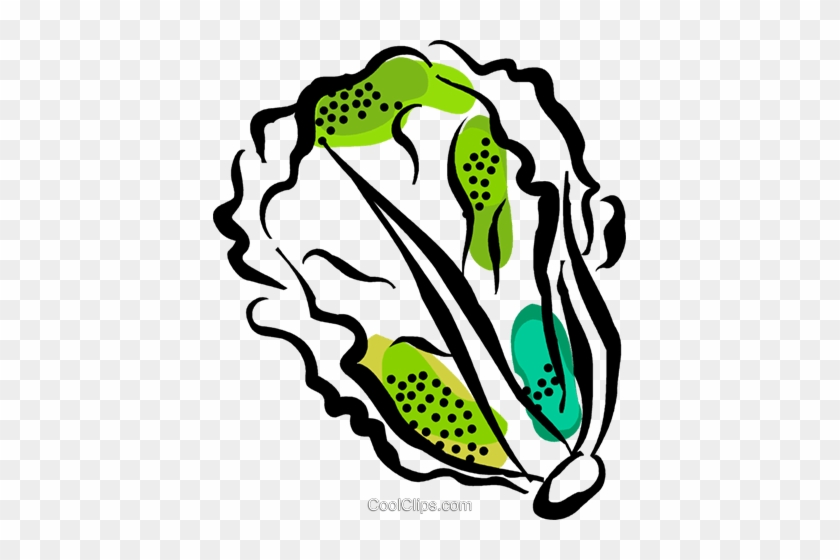 Lettuce Royalty Free Vector Clip Art Illustration - Easy Drawing Lettuce #1624380