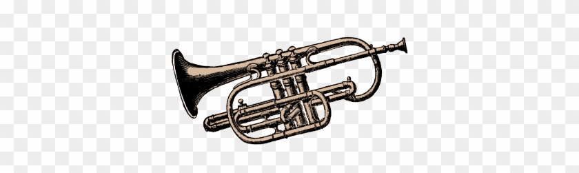 600 X 764 3 - Trumpet #1624419