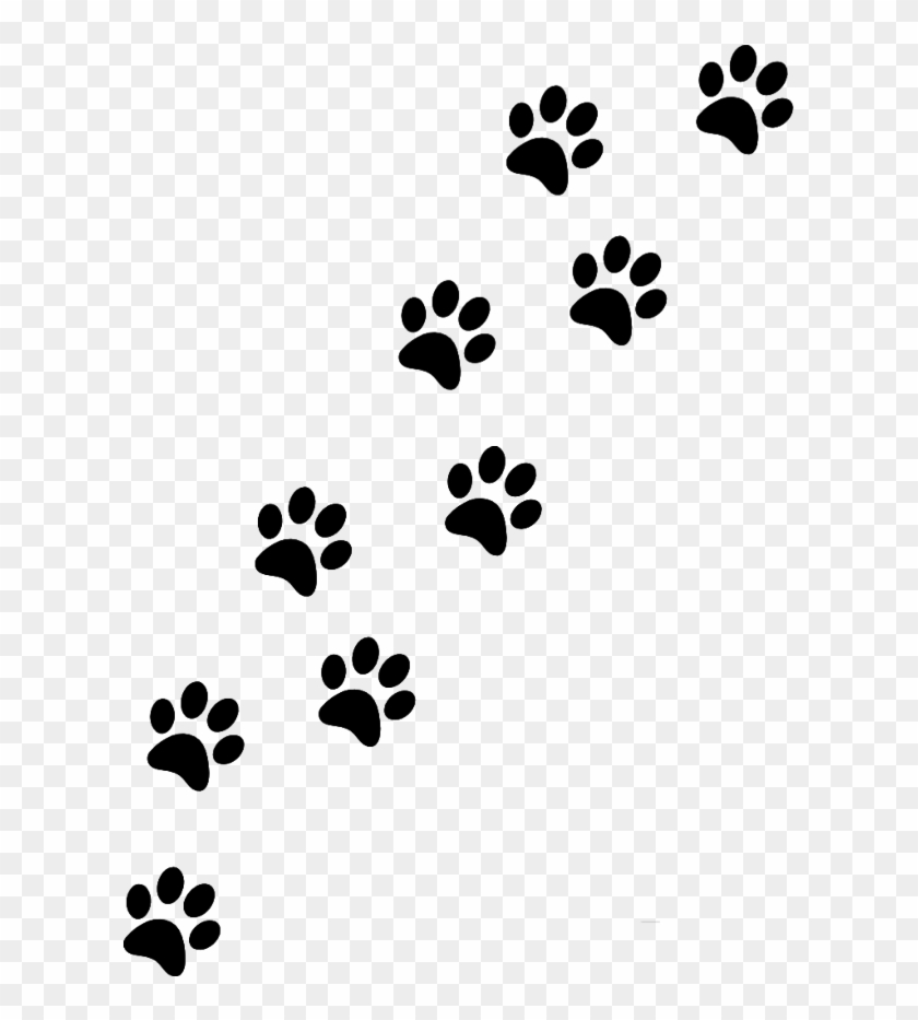 Pawprints Sticker - Paw #1624517