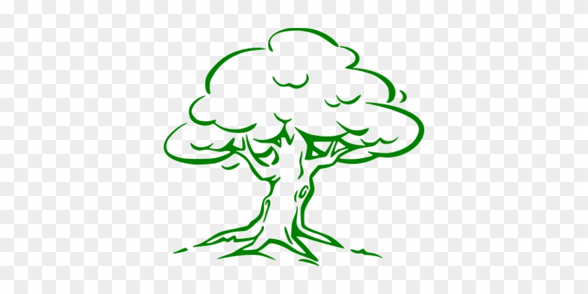Oak, Tree, Green, Forest, Nature, Eco - Simple Oak Tree Drawing #1624519