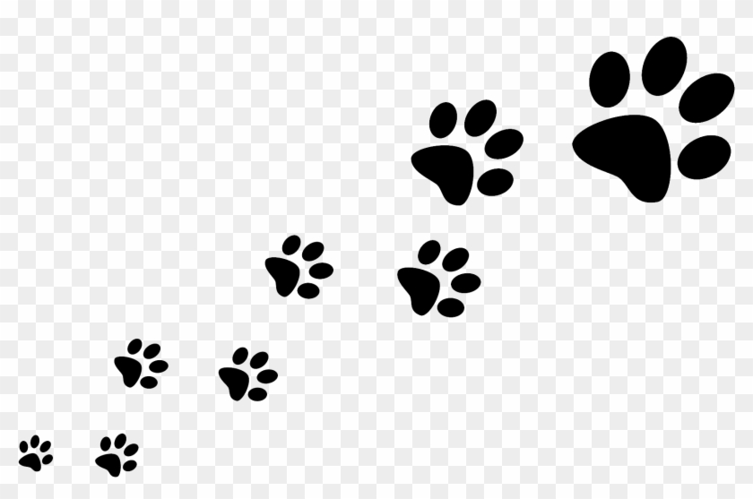 Paw Prints Transparent Background #1624525