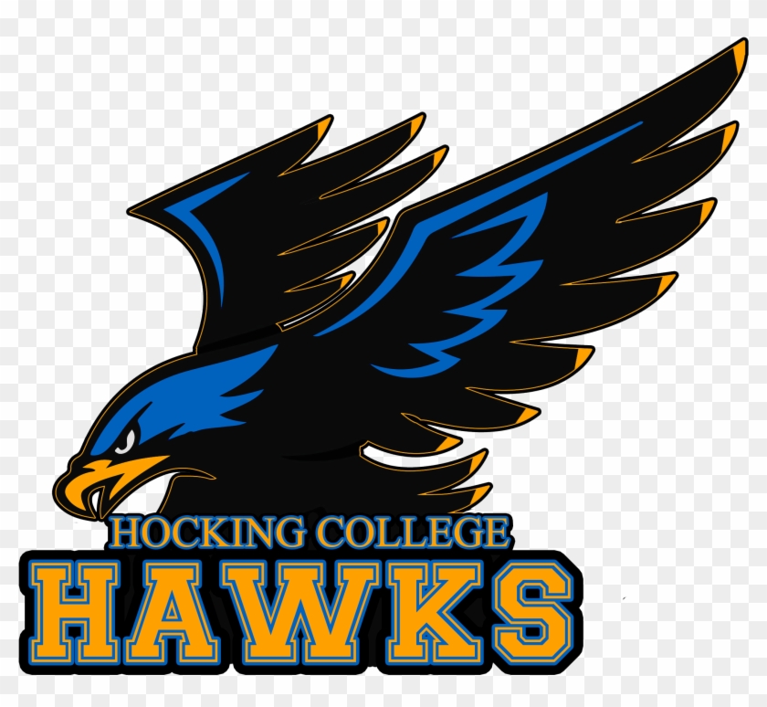 Hawklogo Vector - Anzar High School Hawk #1624584