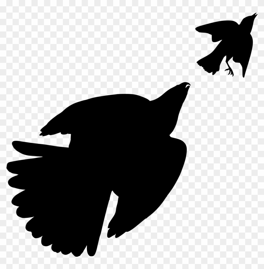 36 Stanley Hawk Hunting A Songbird - Blue Bird #1624588