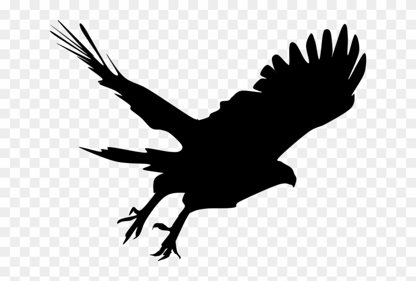 Harris Hawk Clipart Hawk Outline - Silhouette Of A Hawk #1624597