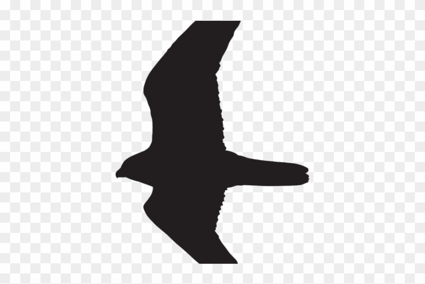 Prairie Falcon Clipart Dove - Seabird #1624673