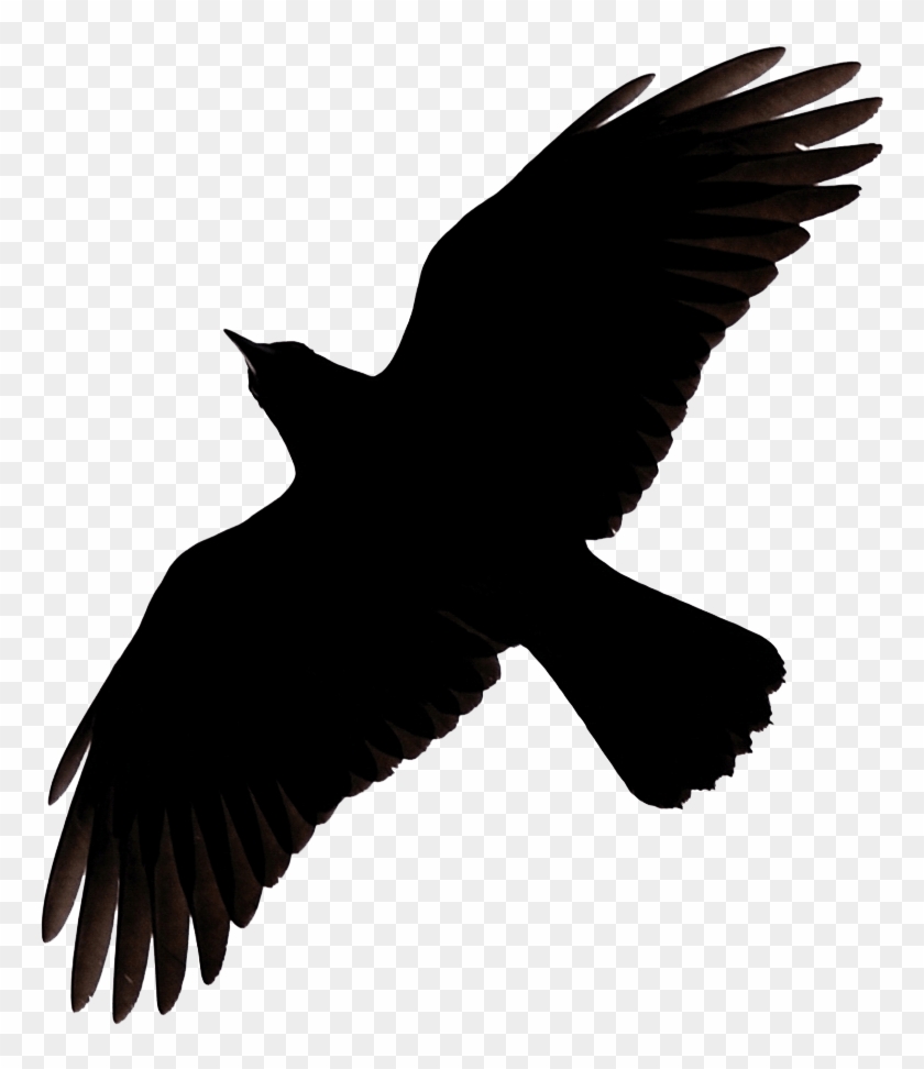 Flying Crow Raven Clip Art - Raven Flying Silhouette #1624675