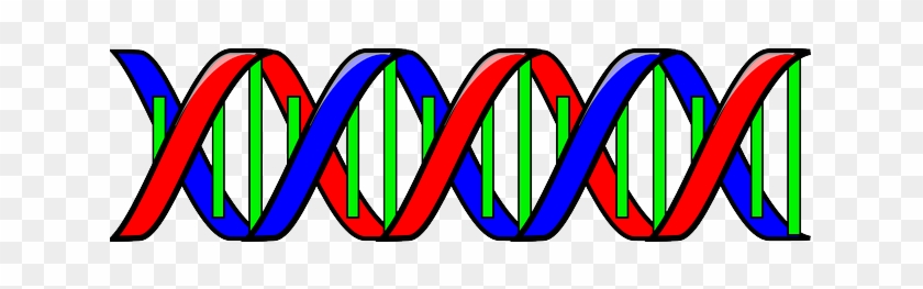 Double Helix Clip Art #1624683