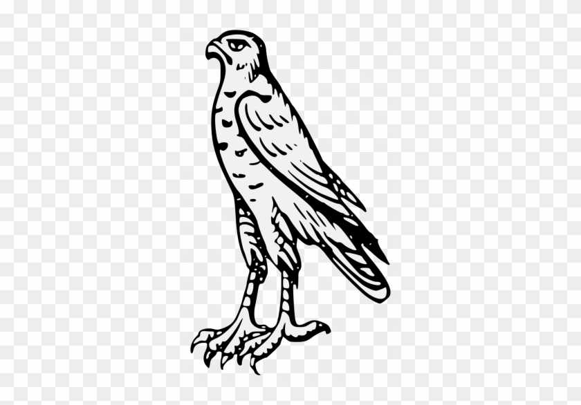 Peregrine Falcon Coloring Heraldic - Hawk #1624692
